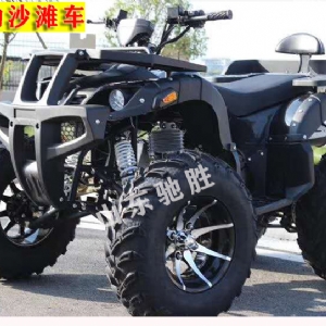 Snow motorcycle kart