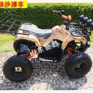 Snow motorcycle kart