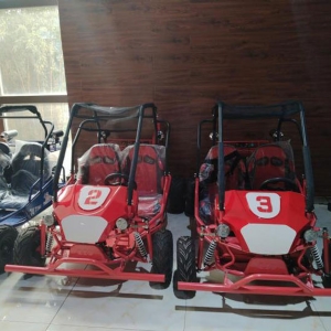 Snow motorcycle kart