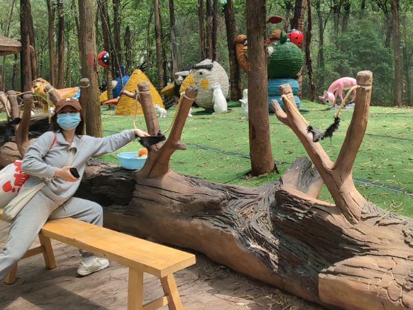 Online celebrity spot