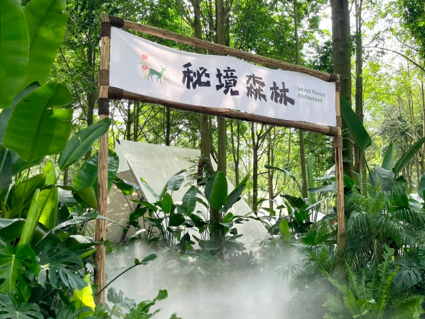 Online celebrity spot