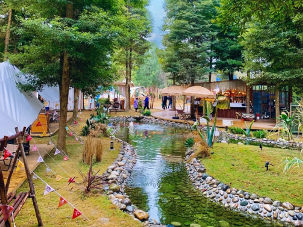 Online celebrity spot