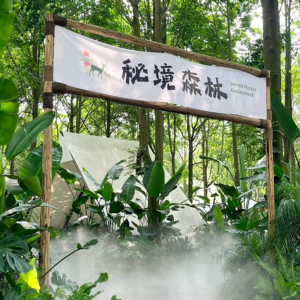 Online celebrity spot