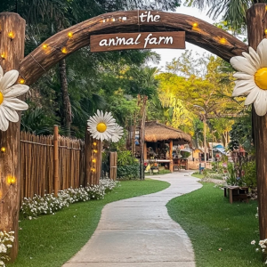 Online celebrity spot