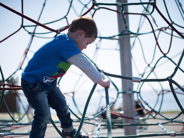 魔力樹(shù)網(wǎng)