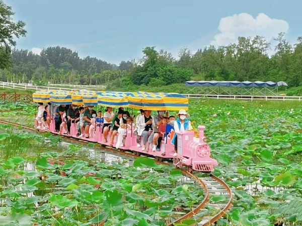 機械動(dòng)力類(lèi)